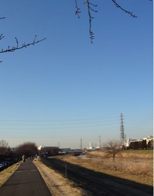 b0203925_8493834.jpg