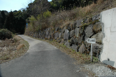 e0272335_1705810.jpg