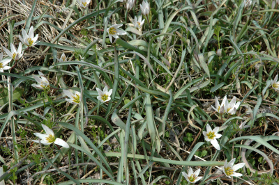 e0272335_21301330.jpg