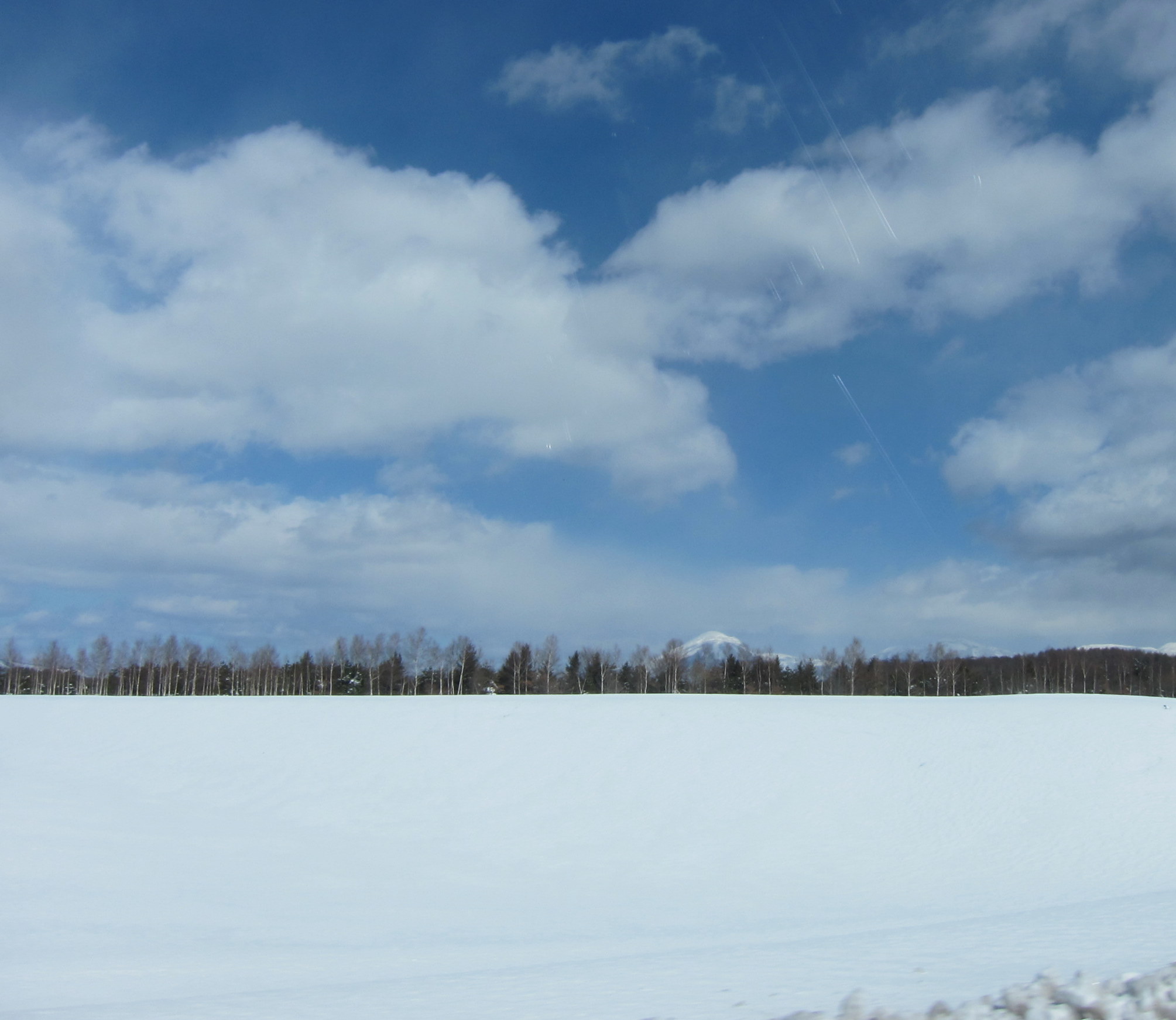 b0178339_22482593.jpg