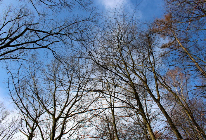 c0153740_2026227.jpg