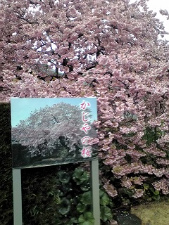 a0272241_1752555.jpg