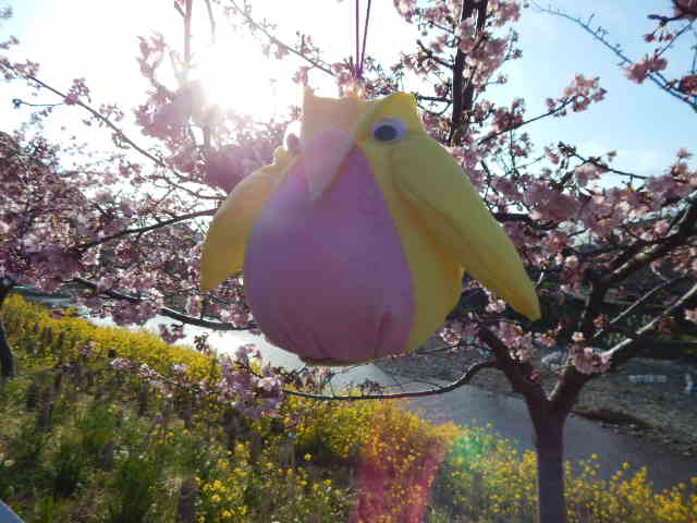 f0031546_23324858.jpg