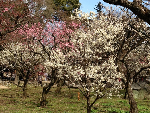 f0233356_20153883.jpg