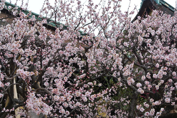 f0233356_2016398.jpg