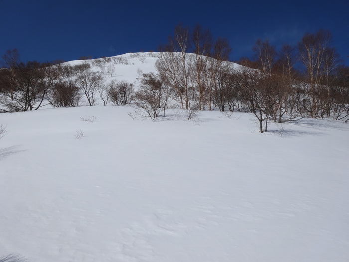 d0274760_9194730.jpg