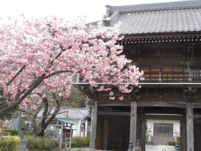 b0145863_17241072.jpg