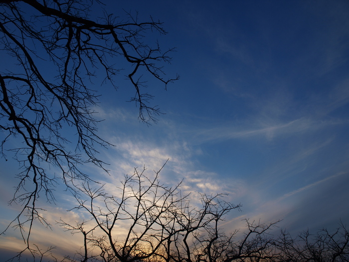 a0260570_12543829.jpg