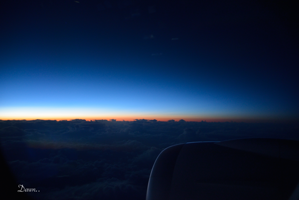 b0243873_12495239.png