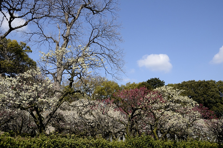 f0108478_21431035.jpg