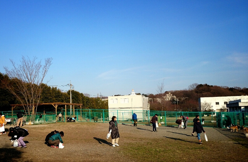 f0230380_18422526.jpg