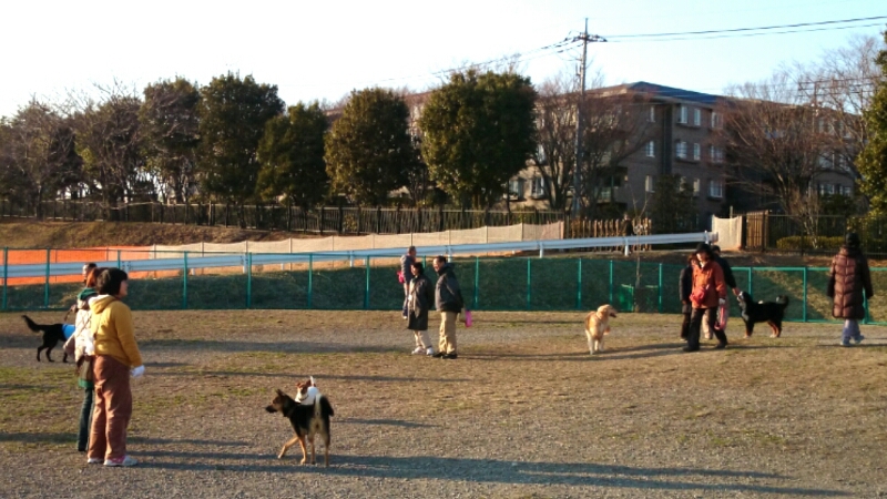 f0230380_18494263.jpg