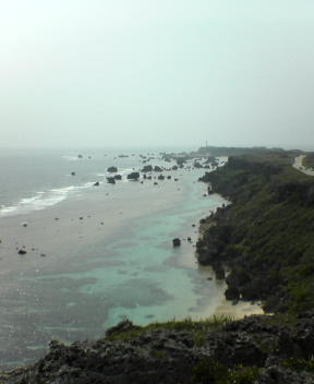 f0137483_1194047.jpg