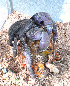 f0137483_128631.jpg