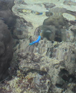 f0137483_13537100.jpg
