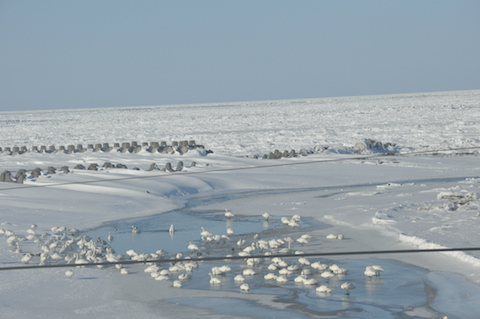 f0008686_21511218.jpg