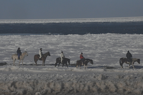 f0008686_21512541.jpg