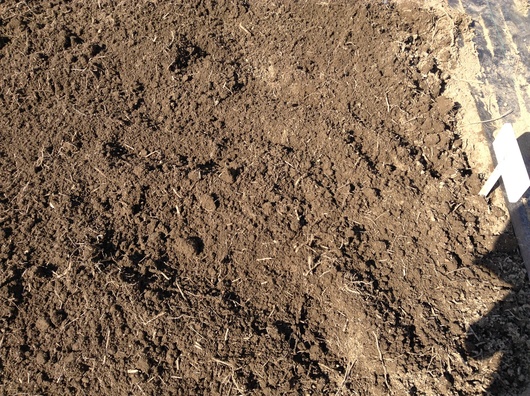 c0281888_223857.jpg