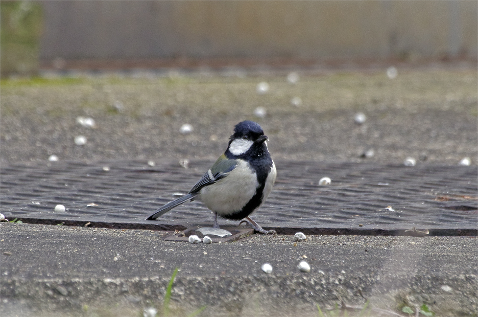 d0209988_21205336.jpg