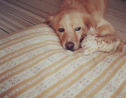 c0196992_21342350.jpg
