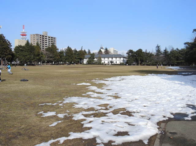 f0100593_19264474.jpg