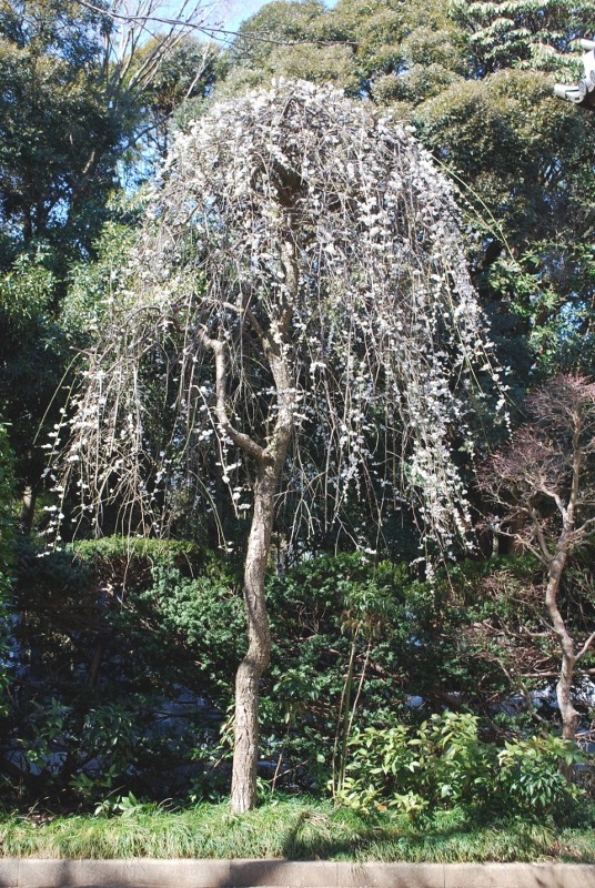 e0025300_12421388.jpg