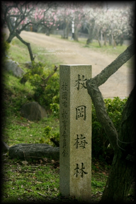 f0083400_104833.jpg