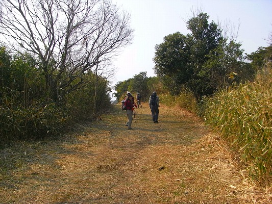 f0187402_21345366.jpg