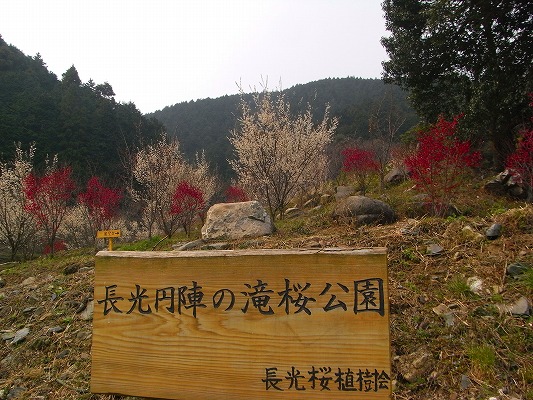 f0187402_21362481.jpg