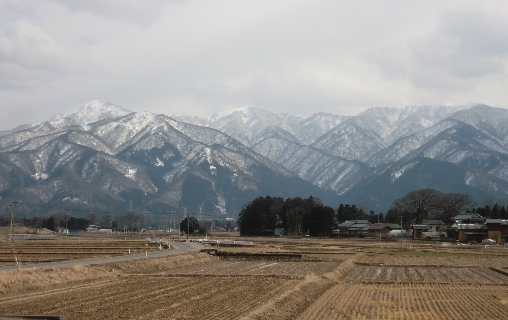 d0299604_16342567.png