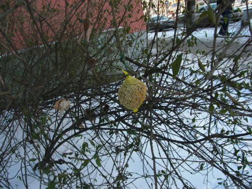 e0149604_05571188.jpg