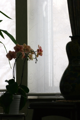 f0041606_14550951.jpg