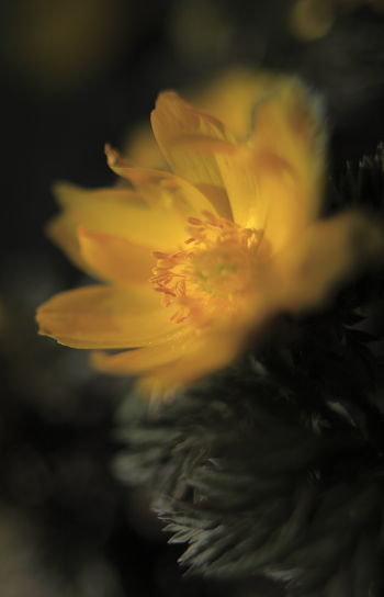 a0251508_21114164.jpg