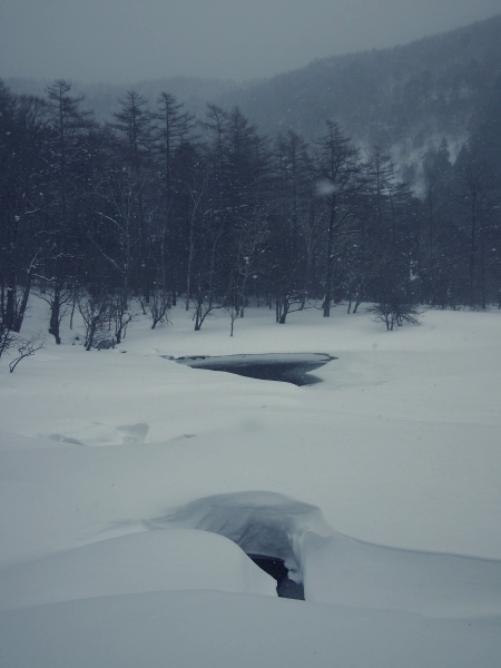 b0244811_22513350.jpg
