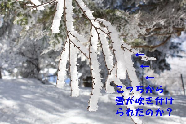 d0224111_07095139.jpg
