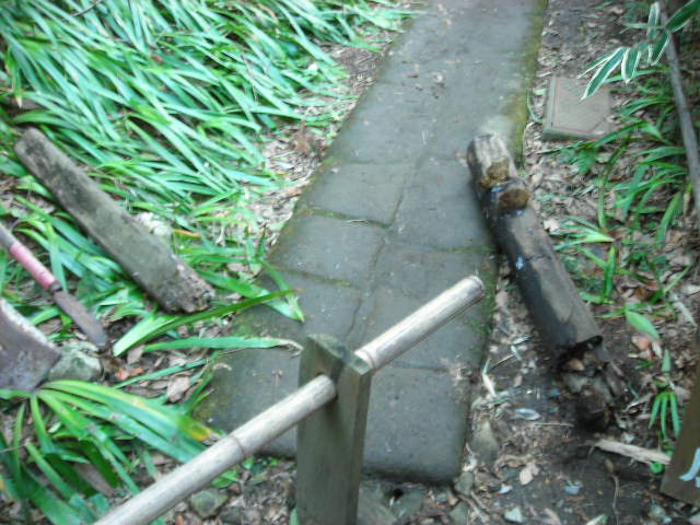 b0096418_05941.jpg