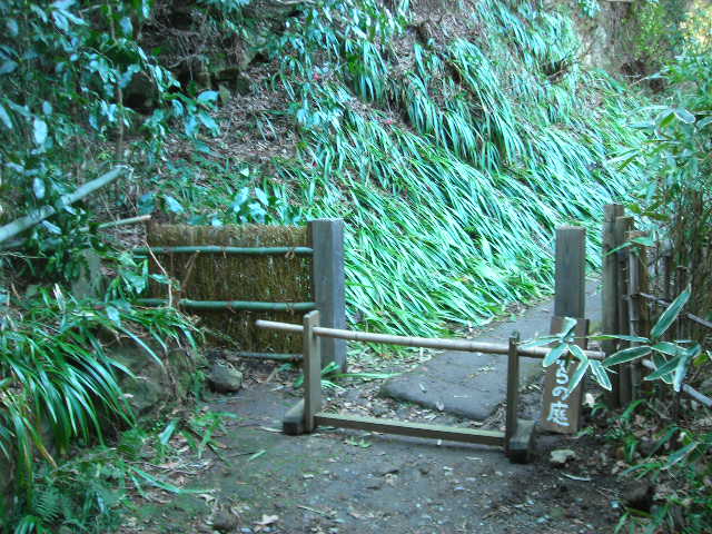 b0096418_1174621.jpg