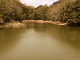 f0086618_172960.jpg