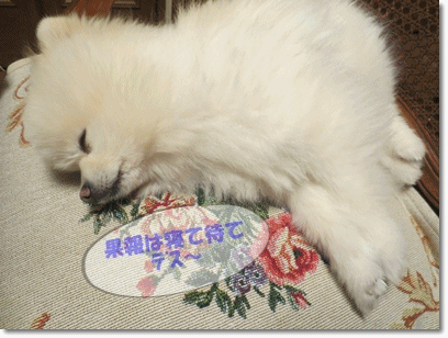 b0167519_21402592.gif