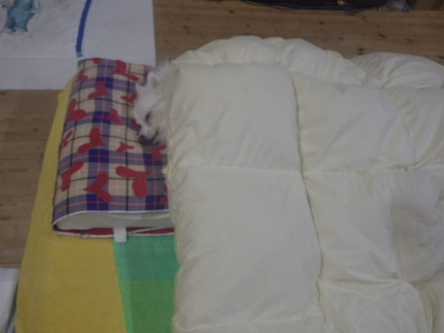 e0291827_032979.jpg