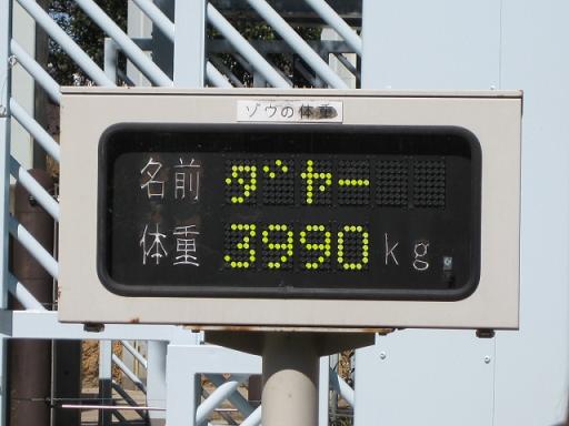 c0217931_1546164.jpg