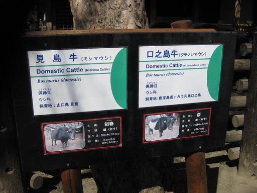 c0217931_15482015.jpg