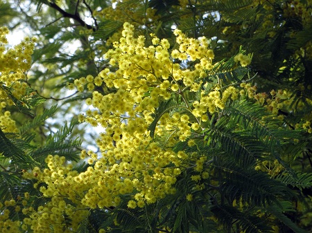 f0234936_038336.jpg