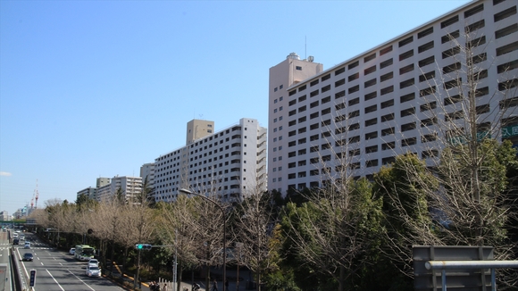 a0219537_1132331.jpg