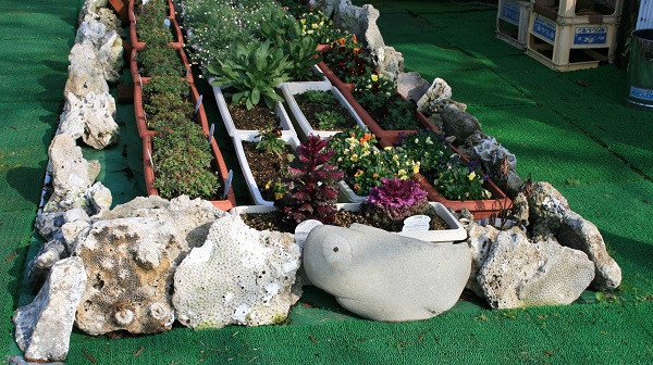 f0042737_17112163.jpg
