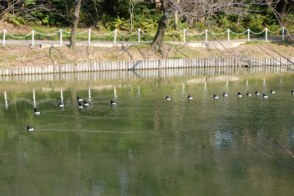 f0247039_19221192.jpg