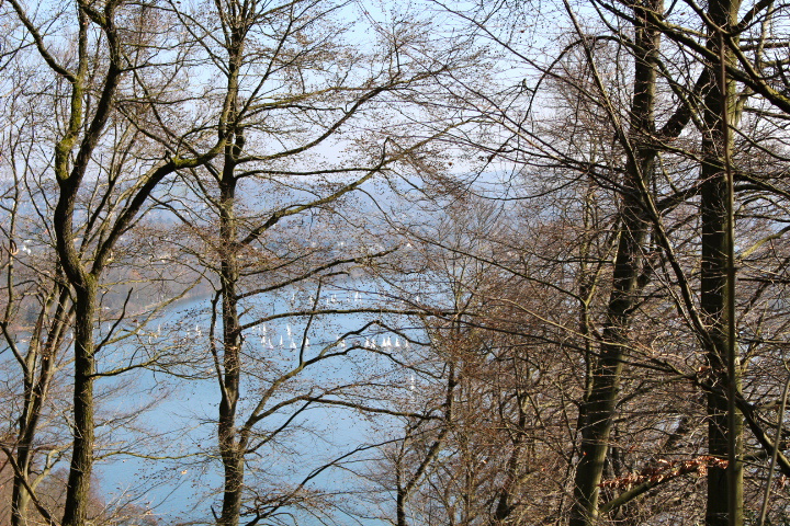 c0153740_0142881.jpg