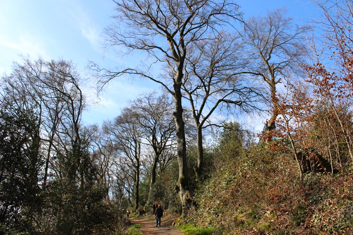 c0153740_0185619.jpg
