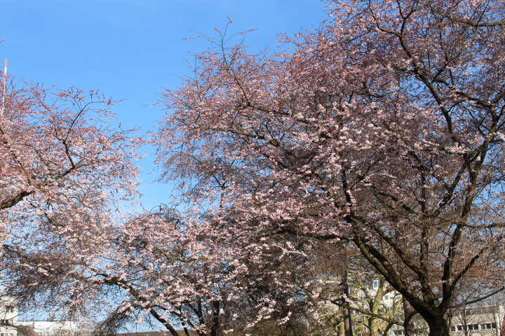 c0153740_02266.jpg