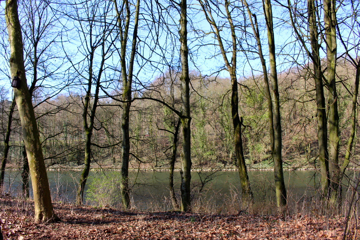 c0153740_23571859.jpg